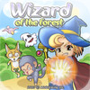 A Wizard of the forest