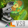 VSB Biology