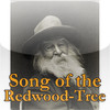 Song of the Redwood-Tree by Walt Whitman
