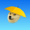 Doge Weather - Such Forecast