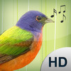 Bird Caller + for iPad