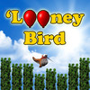 'Looney Bird