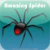Amazing Spider