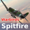 Warbirds Spitfire