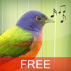Bird Caller + Free