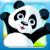 Bouncy Panda Pro