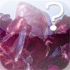 Mineral Quiz for iPad