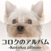 Koroku Album (Dog Photos)