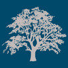 Raintree Virtual Client