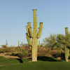 Arizona Golf Guide