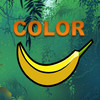 Jungle Color Book - Color Drawing Fun for Kids and all the Family