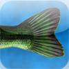 FishTales - A Fishing Log Book and Journal