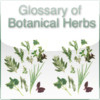 Glossary of Botanical Herbs