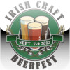 Irish Craft Beer Festival