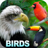 HD Birds Encyclopedia