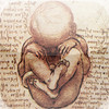 Fetal Biometry