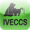 IVECCS 2013