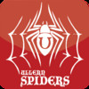 Ullern Spiders