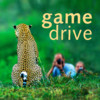 Game Drive - A Safari Guide