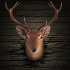 Ace Deer Hunting HD