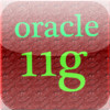 Oracle 11g