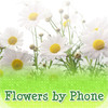Flowersbyphone