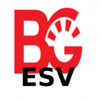 BGA-ESV-BibleMemory