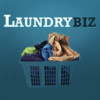 Laundry Biz