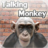 ** Angry Talking Monkey **