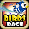 Birds Race ( Fun Racing Games )