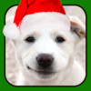 A Christmas Talking Puppy for iPad